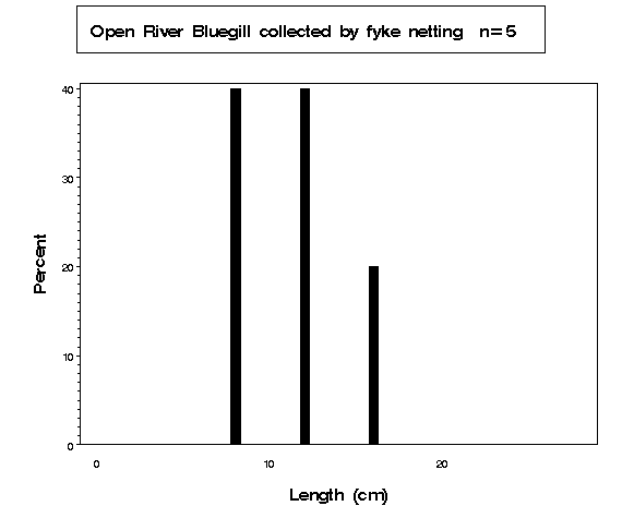 Bluegill collected by fyke netting