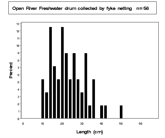 Open River Freshwater drum collected by fyke netting