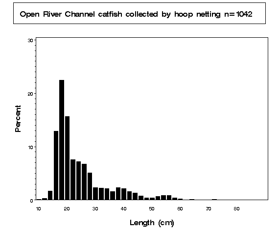 Channel catfish collected by hoop netting