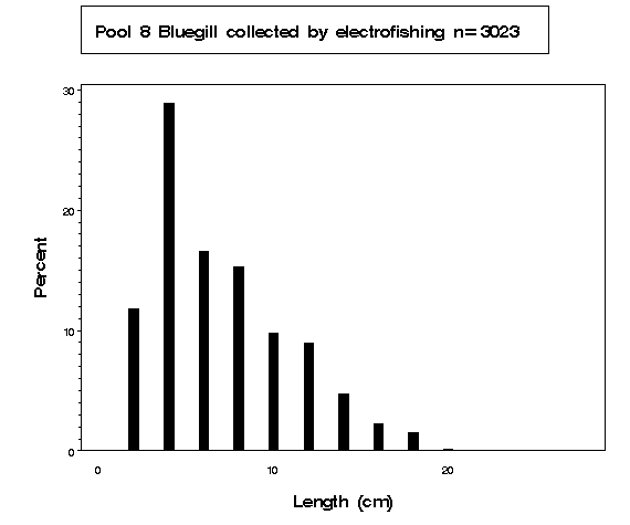 Bluegill collected by electrofishing