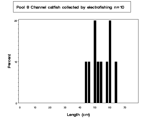 Channel catfish collected by electrofishing