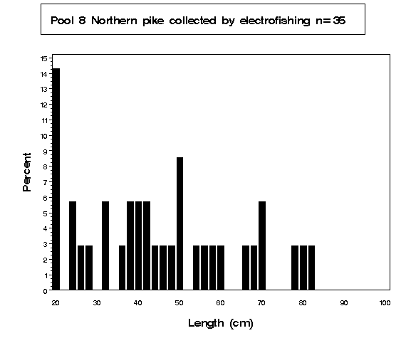 Northern pike collected by electrofishing