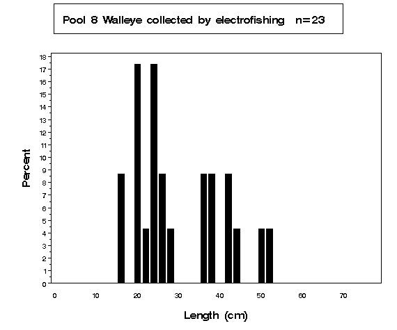 Walleye collected by electrofishing