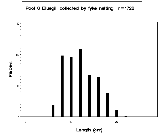 Bluegill collected by fyke netting