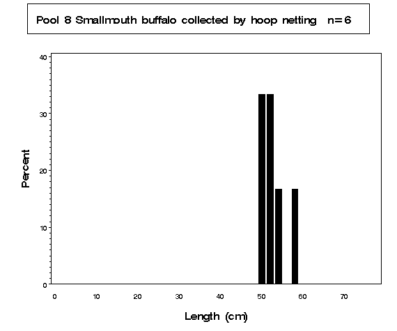 Smallmouth buffalo collected by hoop netting