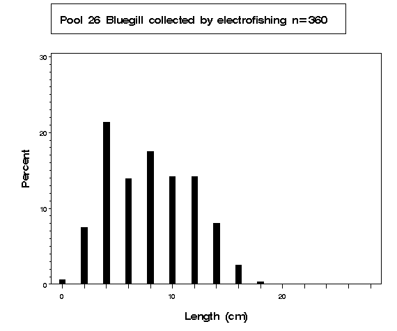 Pool 26 Bluegill collected by electrofishing