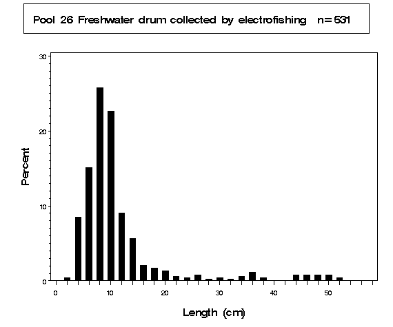 Pool 26 Freshwater drum collected by electrofishing