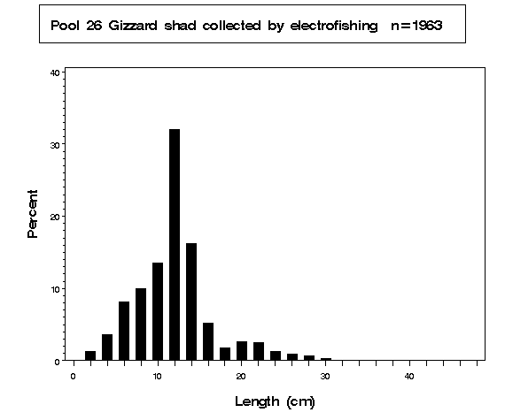 Pool 26 Gizzard shad collected by electrofishing