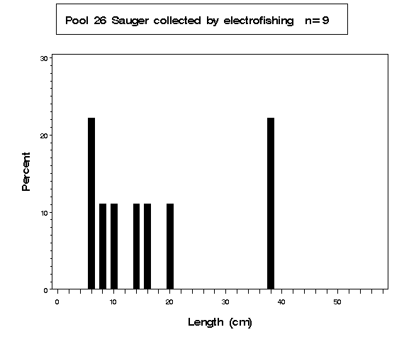 Pool 26 Sauger collected by electrofishing