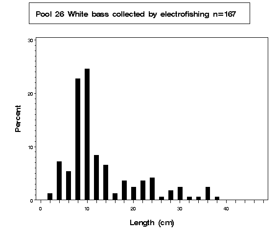 Pool 26 White bass collected by electrofishing