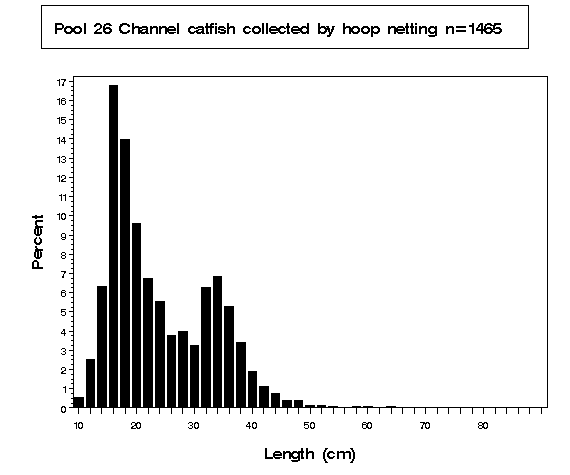 Pool 26 Channel catfish collected by hoop netting