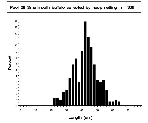 Pool 26 Smallmouth buffalo collected by hoop netting