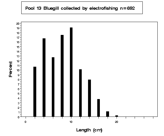 Pool 13 Bluegill collected by electrofishing