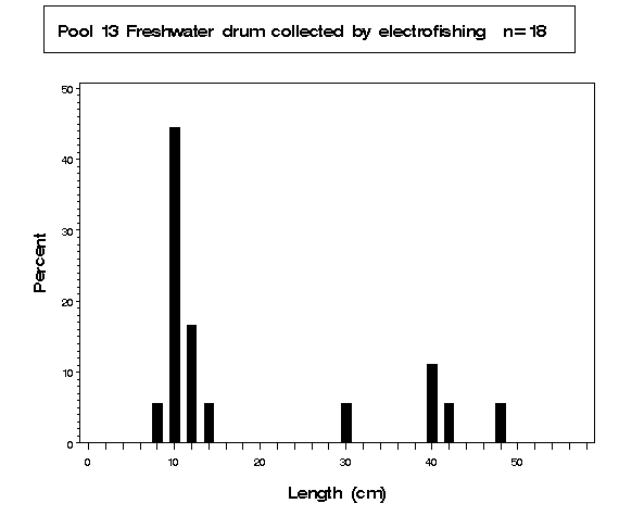 Pool 13 Freshwater drum collected by electrofishing