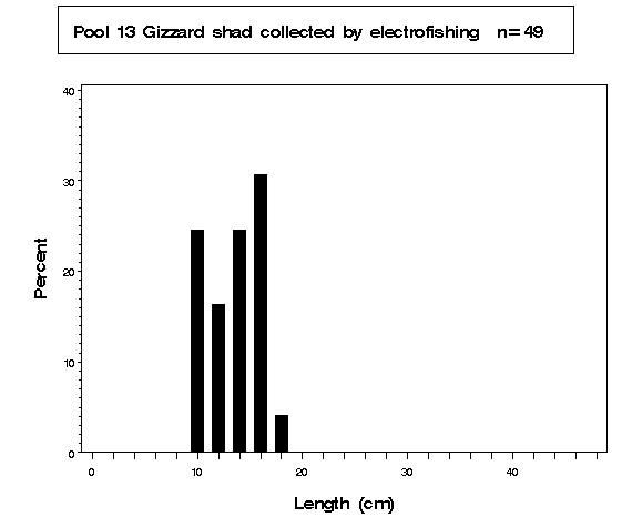 Pool 13 Gizzard shad collected by electrofishing