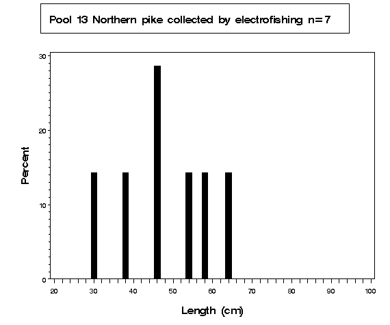 Pool 13 Northern pike collected by electrofishing