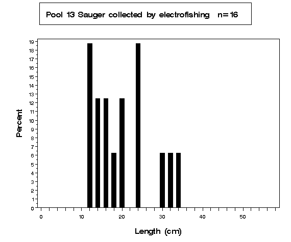 Pool 13 Sauger collected by electrofishing
