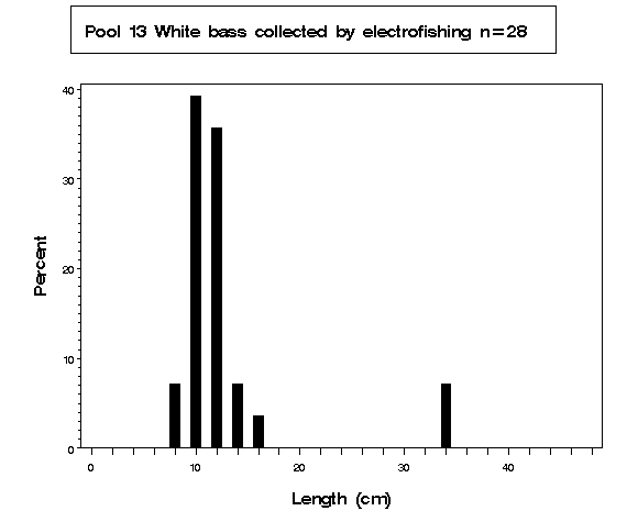 Pool 13 White bass collected by electrofishing