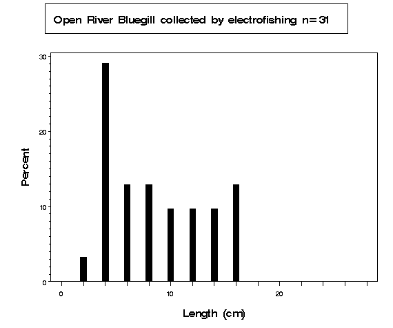 Open River Bluegill collected by electrofishing