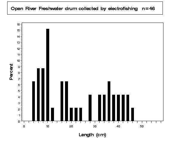 Open River Freshwater drum collected by electrofishing