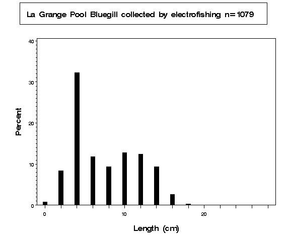 La Grange Pool Bluegill collected by electrofishing