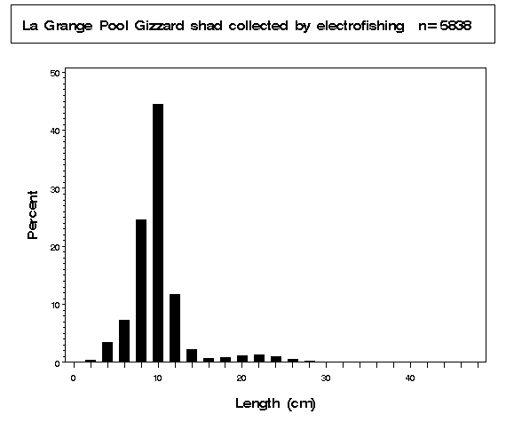 La Grange Pool Gizzard shad collected by electrofishing