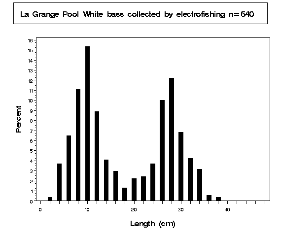 La Grange Pool White bass collected by electrofishing