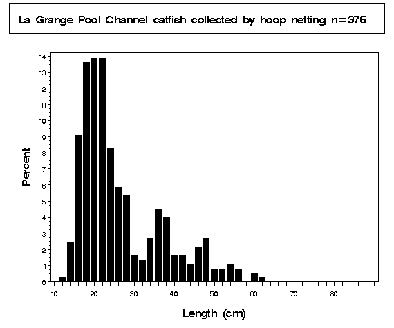 La Grange Pool Channel catfish collected by hoop netting