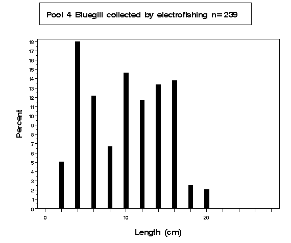 Pool 4 Bluegill collected by electrofishing