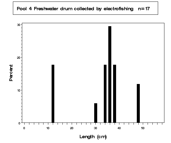 Pool 4 Freshwater drum collected by electrofishing