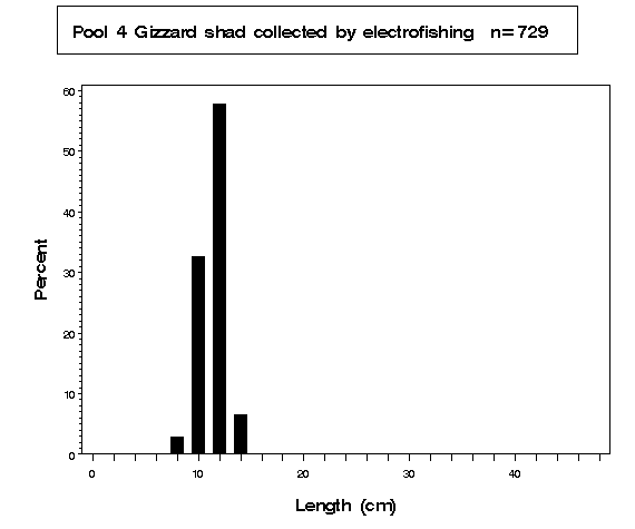 Pool 4 Gizzard shad collected by electrofishing