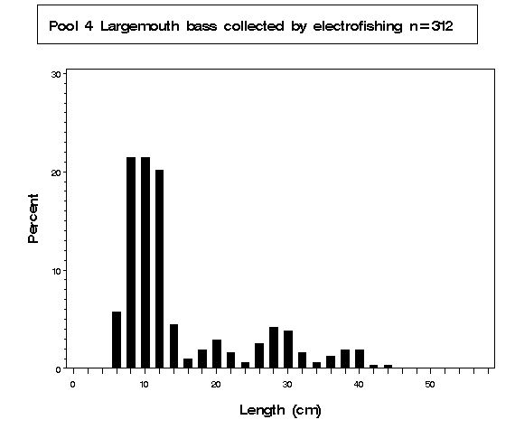 Pool 4 Largemouth bass collected by electrofishing