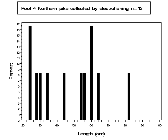 Pool 4 Northern pike collected by electrofishing