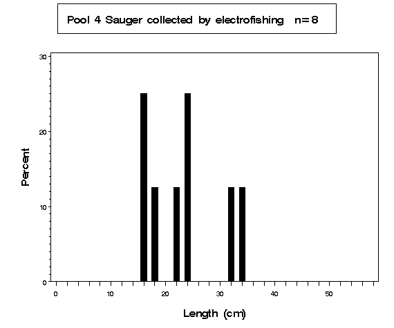 Pool 4 Sauger collected by electrofishing