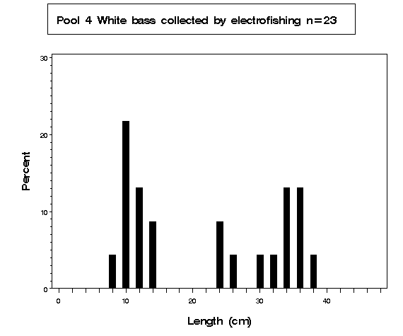 Pool 4 White bass collected by electrofishing