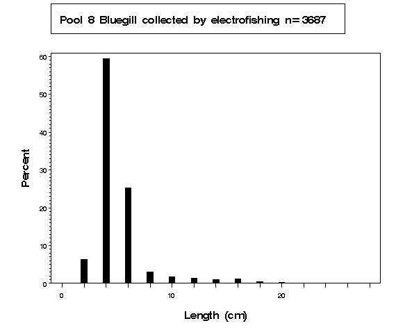 Pool 8 Bluegill collected by electrofishing