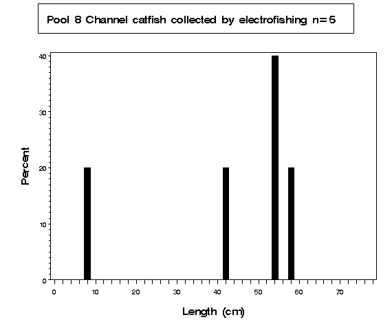 Pool 8 Channel catfish collected by electrofishing