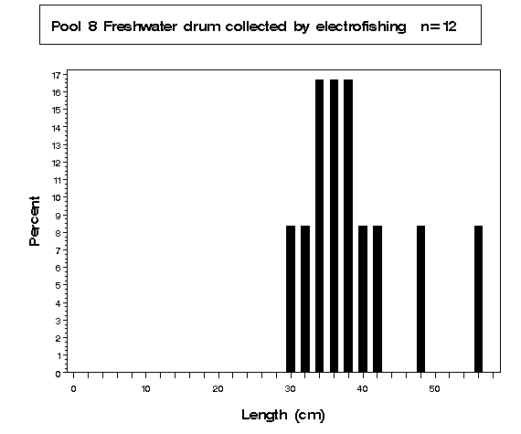 Pool 8 Freshwater drum collected by electrofishing