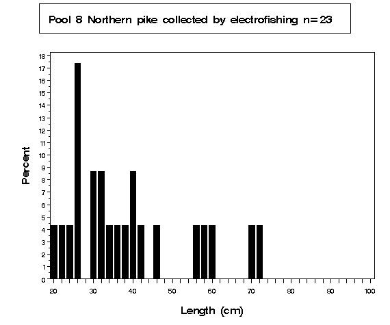 Pool 8 Northern pike collected by electrofishing