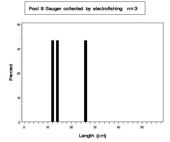 Pool 8 Sauger collected by electrofishing