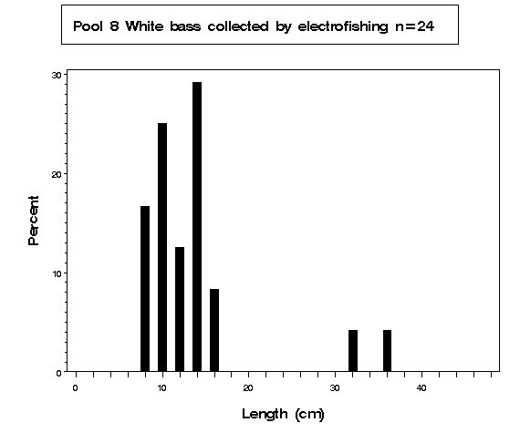 Pool 8 White bass collected by electrofishing