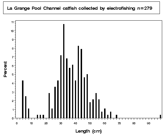 La Grange Pool Channel catfish collected by electrofishing