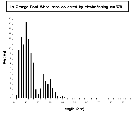La Grange Pool White bass collected by electrofishing