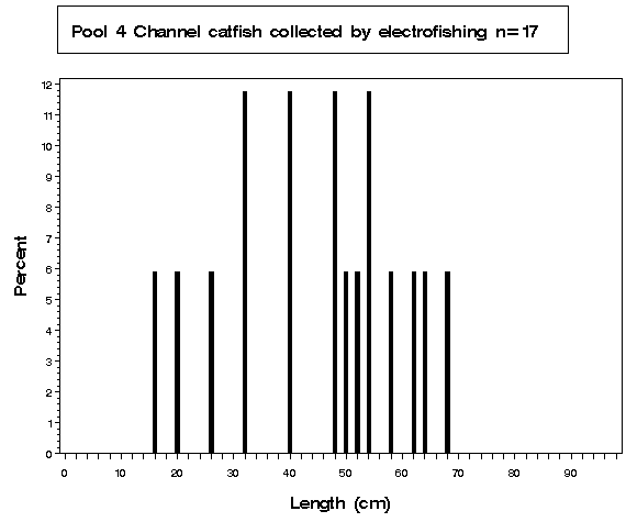 Pool 4 Channel catfish collected by electrofishing