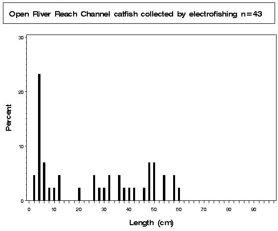 Open River Channel catfish collected by electrofishing