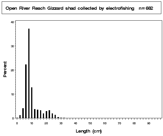 Open River Gizzard shad collected by electrofishing