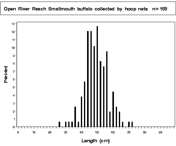 La Grange Pool Smallmouth buffalo collected by hoop netting