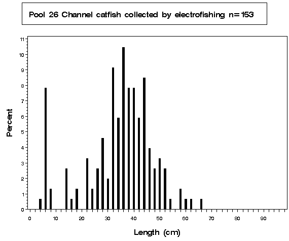 Pool 26 Channel catfish collected by electrofishing
