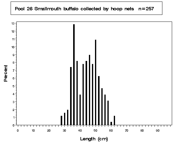 La Grange Pool Smallmouth buffalo collected by hoop netting