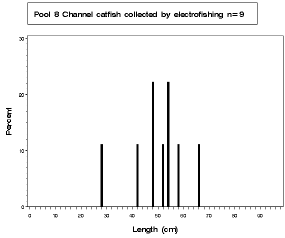 Pool 8 Channel catfish collected by electrofishing